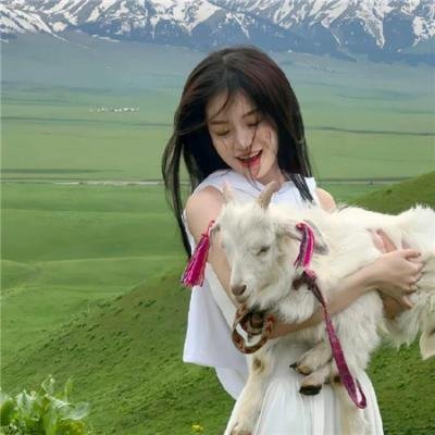 皇家反千组粤语